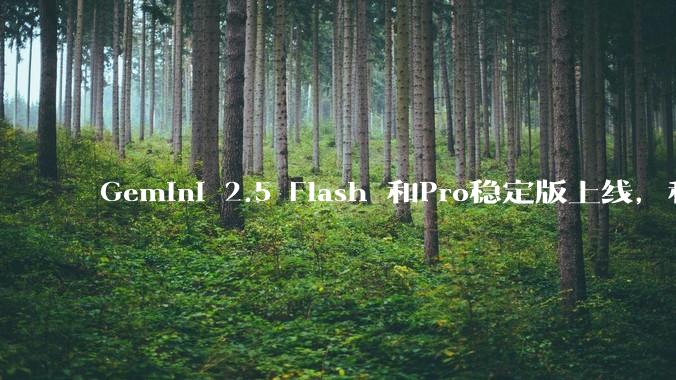 Gemini 2.5 Flash 和Pro稳定版上线，和之前版本相比，在性能和应用场景上有哪些提升？